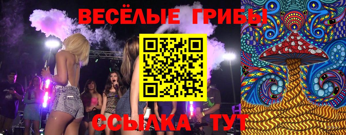 Галлюциногенные грибы прущие грибы Саянск