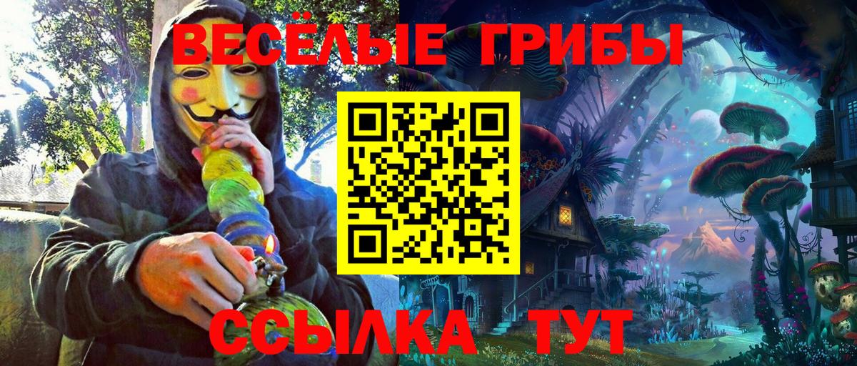 Галлюциногенные грибы Psilocybe  Вход с VPN  Саянск 